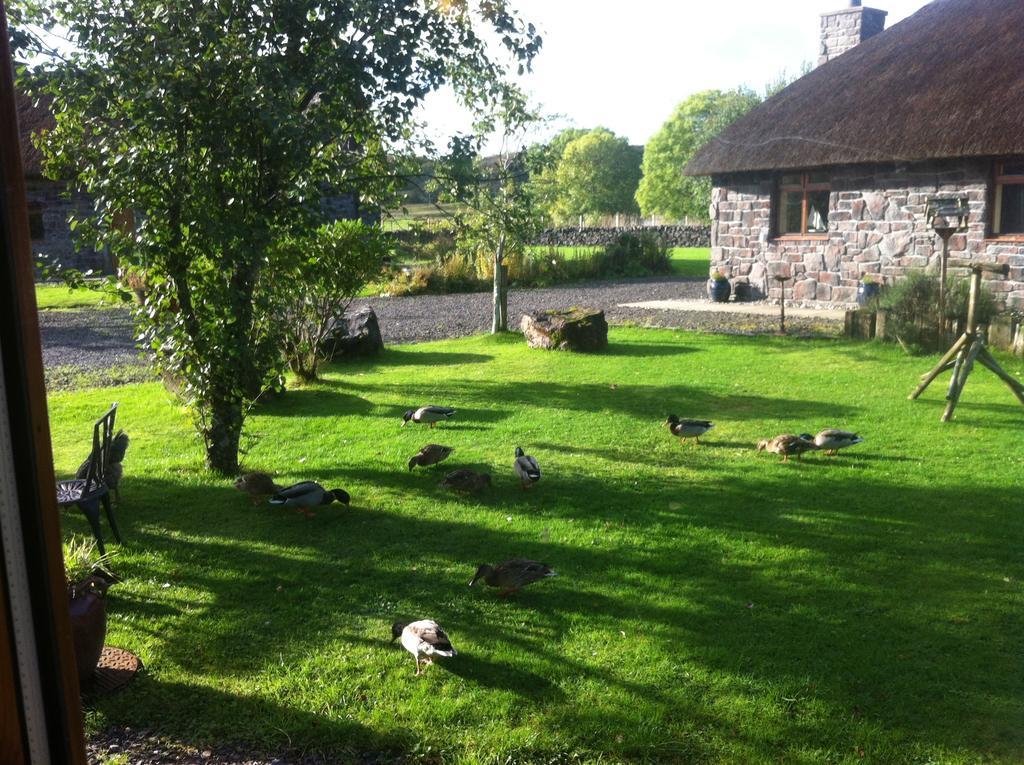 Clan Cottages Oban Szoba fotó